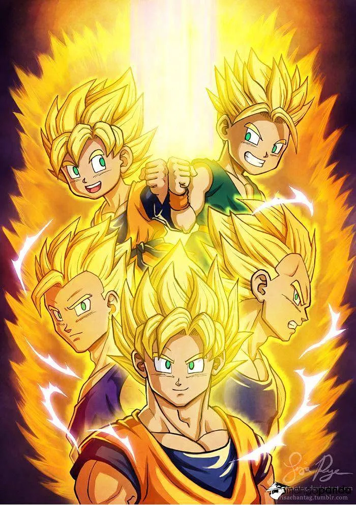 24